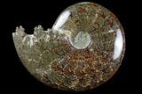 Polished, Agatized Ammonite (Cleoniceras) - Madagascar #97359-1